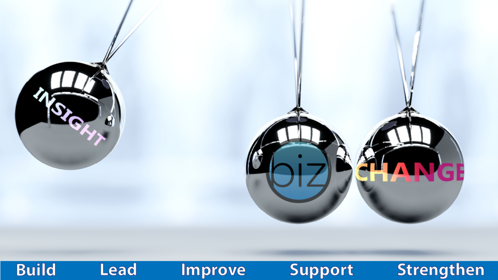 Using Insight to help your business lead to Change
